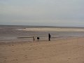 sylt (26)